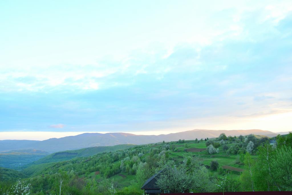 Zelena Sadyba Turichki Exterior foto